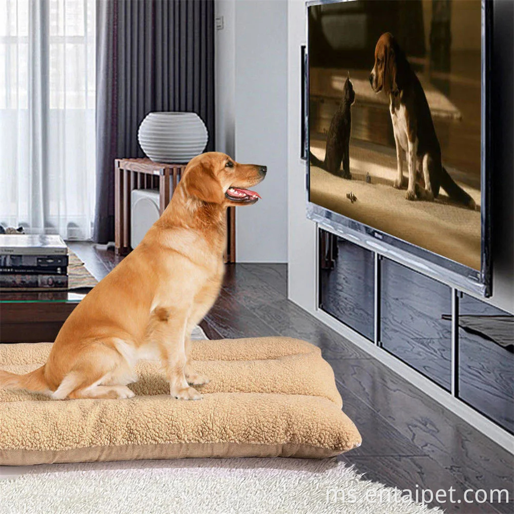 Katil Bed Mewah Tilam Anjing Kucing Bantal Tikar